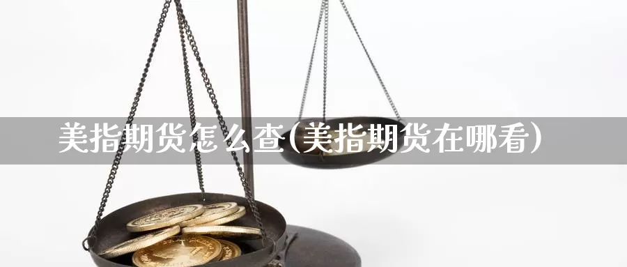 美指期货怎么查(美指期货在哪看)_https://www.sdzyz.com__第1张