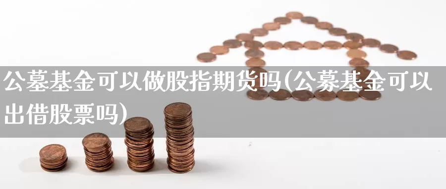 公墓基金可以做股指期货吗(公募基金可以出借股票吗)_https://www.sdzyz.com__第1张