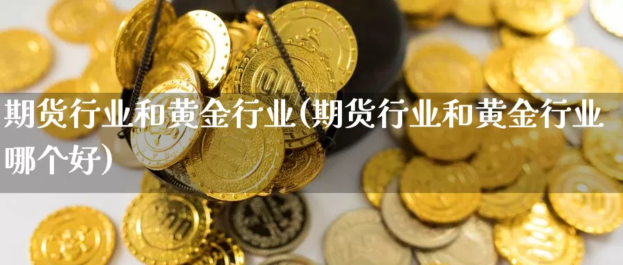 期货行业和黄金行业(期货行业和黄金行业哪个好)_https://www.sdzyz.com__第1张