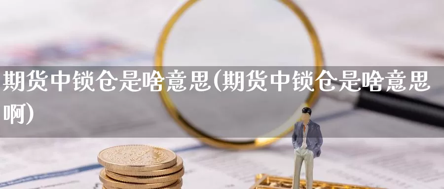 期货中锁仓是啥意思(期货中锁仓是啥意思啊)_https://www.sdzyz.com__第1张