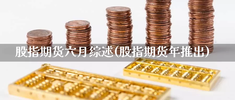 股指期货六月综述(股指期货年推出)_https://www.sdzyz.com__第1张