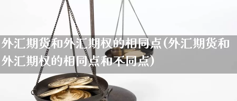 外汇期货和外汇期权的相同点(外汇期货和外汇期权的相同点和不同点)_https://www.sdzyz.com__第1张